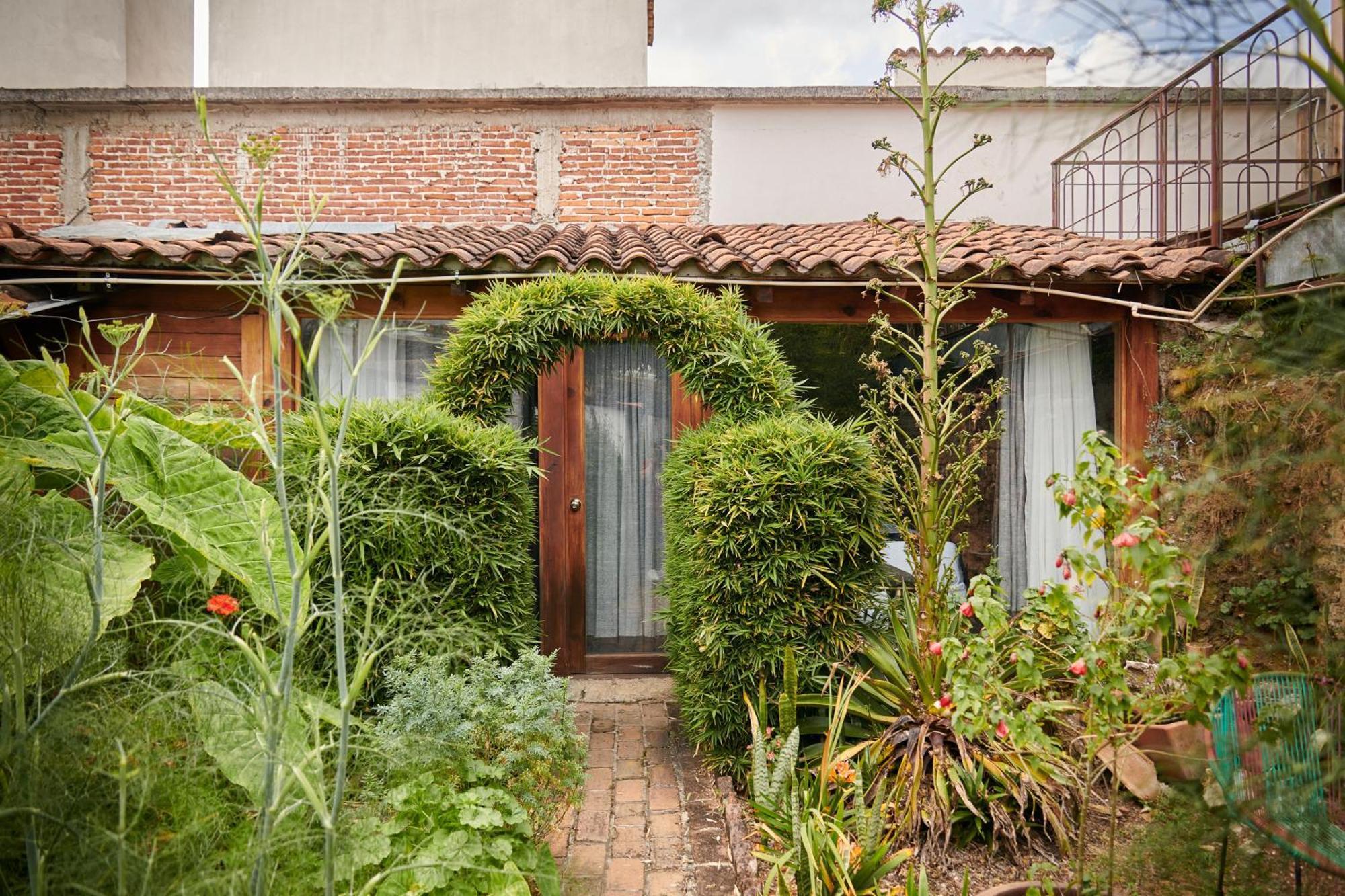 San Cristóbal de Las Casas Sereno Hotel מראה חיצוני תמונה